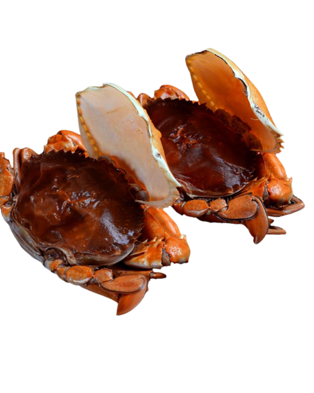 Cua Lột (Cua 2 Da) Duy Phát - Đặc Sản Cao Cấp, Giàu Dinh Dưỡng